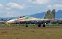 Quốc gia nào dùng tiêm kích Su-30MK2 giống Việt Nam? 