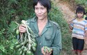 Bất ngờ “người rừng” Hồ Văn Lang thích có vợ