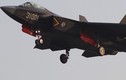 Trung Quốc cáo buộc tiêm kích ATD-X Nhật “sao chép” J-31