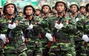 Quân đội Việt Nam diễu binh kỷ niệm chiến thắng ĐBP
