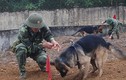 Nơi tạo ra “vũ khí đặc biệt” của Biên phòng Việt Nam