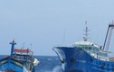 Tàu cá TQ lập hàng rào hung hăng chặn tàu Việt Nam