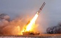 Nga bán 1 tỷ USD pháo, tên lửa cho Iraq