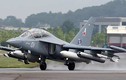 Việt Nam quan tâm tới máy bay huấn luyện Yak-130