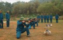 Điều chưa biết về Dân quân tự vệ Việt Nam
