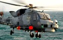 Việt Nam sẽ mua trực thăng săn ngầm của Italy? 