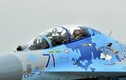 Điều chưa biết chiến đấu cơ Su-27 Tổng thống Ukraine lái