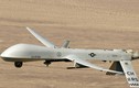 UAV HS-6L VN dùng chung công nghệ thần chết MQ-1 Mỹ?