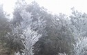 Băng tuyết phủ kín đỉnh Mẫu Sơn, nhiệt độ -2,1 độ C