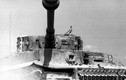Tiết lộ gây sốc: Nhật Bản từng mua siêu tăng Tiger I