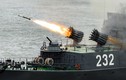 Việt Nam có nên mua tàu săn ngầm 23420 thay Petya?