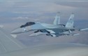 Siêu tiêm kích Su-35S gặp lỗi ở Syria, Nga xấu hổ