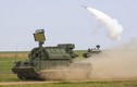 Việt Nam nên mua tên lửa Tor-M2U để “hộ vệ” S-300? 
