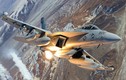 Việt Nam nên mua thêm F/A-18 dù đã có Su-27/30, tại sao?