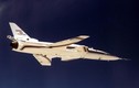 Phải chăng Sukhoi sao chép X-29 Mỹ tạo ra Su-47?
