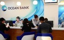 Phó GĐ OceanBank Hải Phòng vắng mặt bất thường