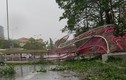 Thiệt hại ban đầu do bão số 10 gây ra ở miền Trung