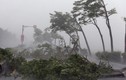 Áp thấp nhiệt đới gây lốc xoáy, vòi rồng ở Nam Bộ