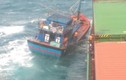 Liên lạc tàu nước ngoài cứu thành công 6 ngư dân
