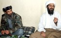 Bí mật bộ sưu tập băng cát xét của Osama Bin Laden