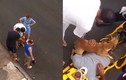 Video: Chú chó lo lắng, bảo vệ chủ tới cùng khi chủ gặp nạn