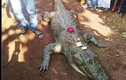 Video: Cá sấu 130 tuổi chết, cả làng bỏ ăn, khóc ròng