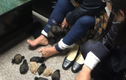 Hãi hùng người phụ nữ buộc 24 con chuột vào chân giấu trong váy
