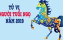 Video: Màu sắc phong thủy cho tuổi Ngọ năm 2019