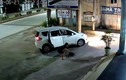 Video: Đi ô tô trộm chó chưa đến 10s gây xôn xao CĐM