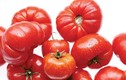 Ăn bao nhiêu cà chua ngừa được u tiền liệt tuyến?