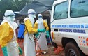 3 nhà báo bị giết vì tuyên truyền chống dịch Ebola 