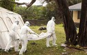Con số kinh hoàng về đại dịch Ebola