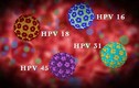 Cách ngăn ngừa virus HPV gây ung thư, mụn cóc sinh dục