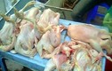 Kinh hoàng hậu họa ăn gà “kháng sinh”
