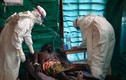 VN lập Trung tâm Đáp ứng dịch bệnh khẩn cấp chống Ebola