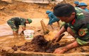 Phát hiện hàng trăm quả bom bi dưới ruộng lúa ở Nghệ An