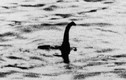 Quái vật hồ Loch Ness đã thực sự diệt vong?