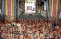 Khiếp đảm gà chết, gà sống lẫn lộn ở chợ Hà Vỹ