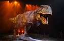 Chân dung nhóm khủng long “khủng bố” cổ đại