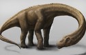 Những điều đáng kinh ngạc về 10 loài khủng long lớn nhất