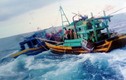Truy sát kinh hoàng trên biển: Ngư dân ghi được nhiều hình ảnh