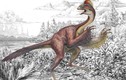 Top khủng long mỹ miều nhất mới được phát hiện