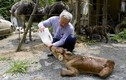 “Dị nhân” một mình ở lại đất chết chăm sóc động vật