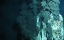 10 điều bí ẩn về đáy đại dương gây sốc nhất
