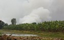 Rừng tràm ở U Minh Thượng cháy rừng rực