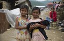 Xúc động cảnh động vật sống sót sau động đất Nepal (1)