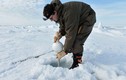 Chùm ảnh chuyến thám hiểm Bắc Cực lớn nhất 20 năm qua