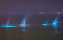 Kỳ bí ánh sáng xanh ma quái trên bờ biển Trung Quốc