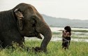 “Soi” loài voi Hai Bà Trưng từng cưỡi, dùng nhiều trong chiến tranh VN