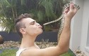Sống dở chết dở nuôi rắn độc bậc nhất hành tinh trong nhà